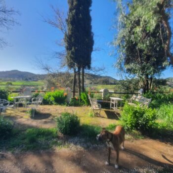 Paisaje desde terraza 03